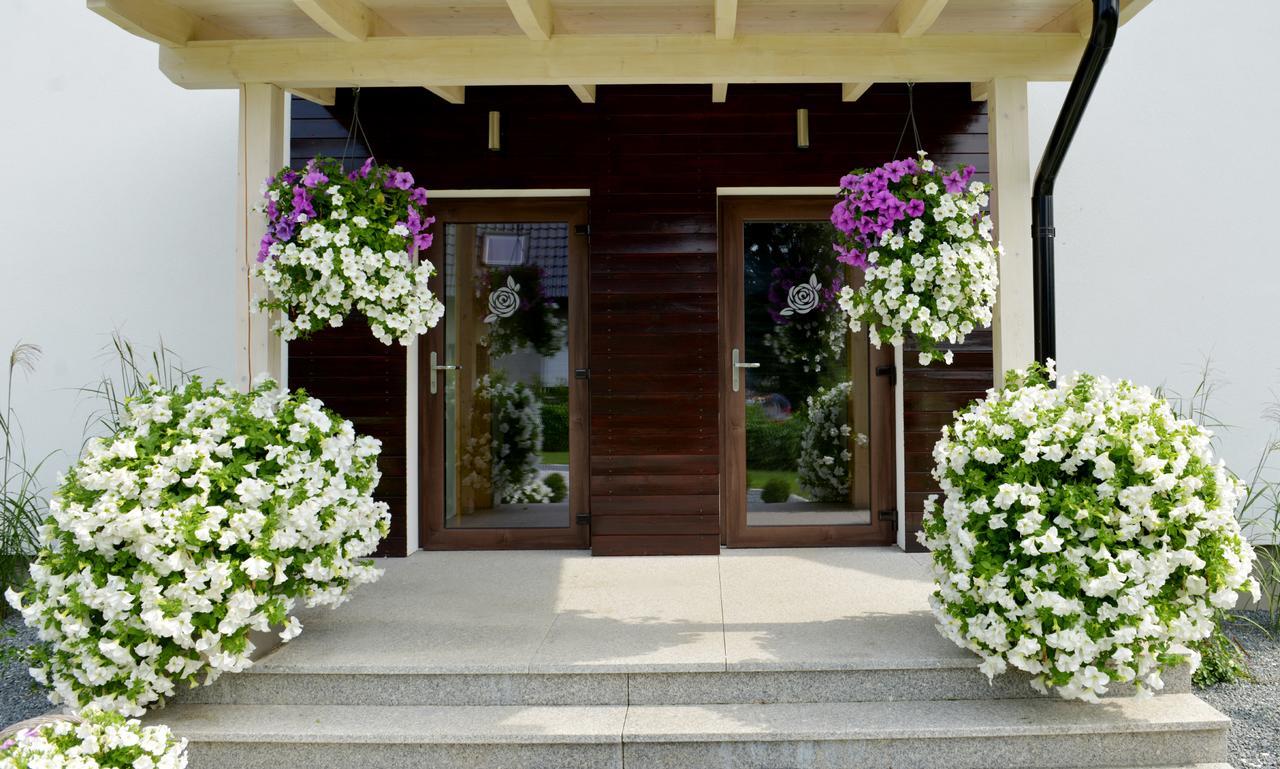 Apartamenty U Harrego II Przy Stawie Spa Klimatyzacja,Balkon,Sauna , Balia, Ogrod,Parking Kudowa-Zdrój Exterior foto